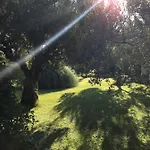 Hrisavgi *