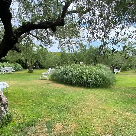 Daire Hrisavgi Nikiti (Sithonia)