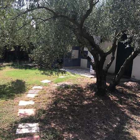 Apartment Hrisavgi