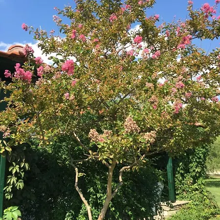 Hrisavgi Appartement Nikiti (Sithonia)