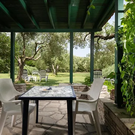 Apartment Hrisavgi