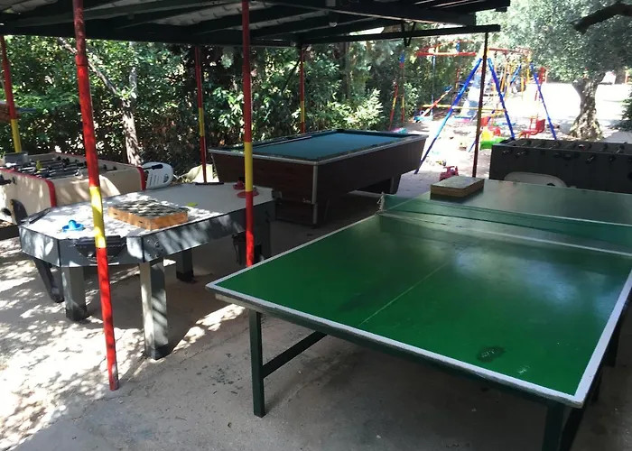 Hrisavgi * 니키티