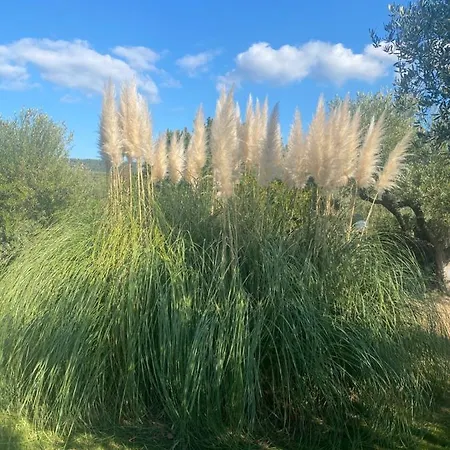 Hrisavgi Apartamento Nikiti (Sithonia)