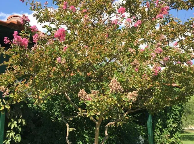 Hrisavgi Apartament Nikiti (Sithonia)