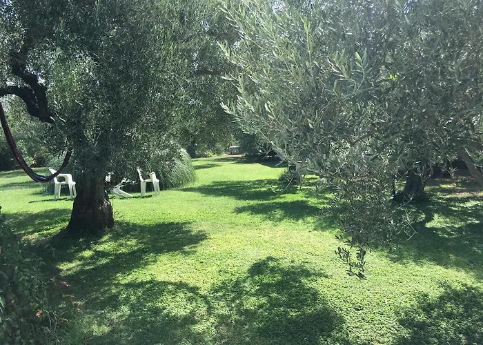 Apartament Hrisavgi *