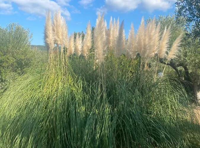 Hrisavgi Apartament Nikiti (Sithonia)